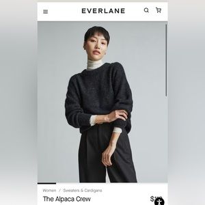 COPY - Everlane The Alpaca Crew in heathered black